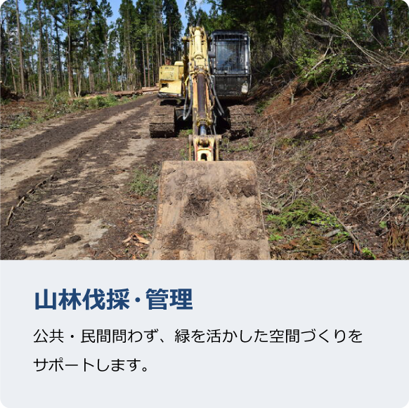 山林伐採・管理